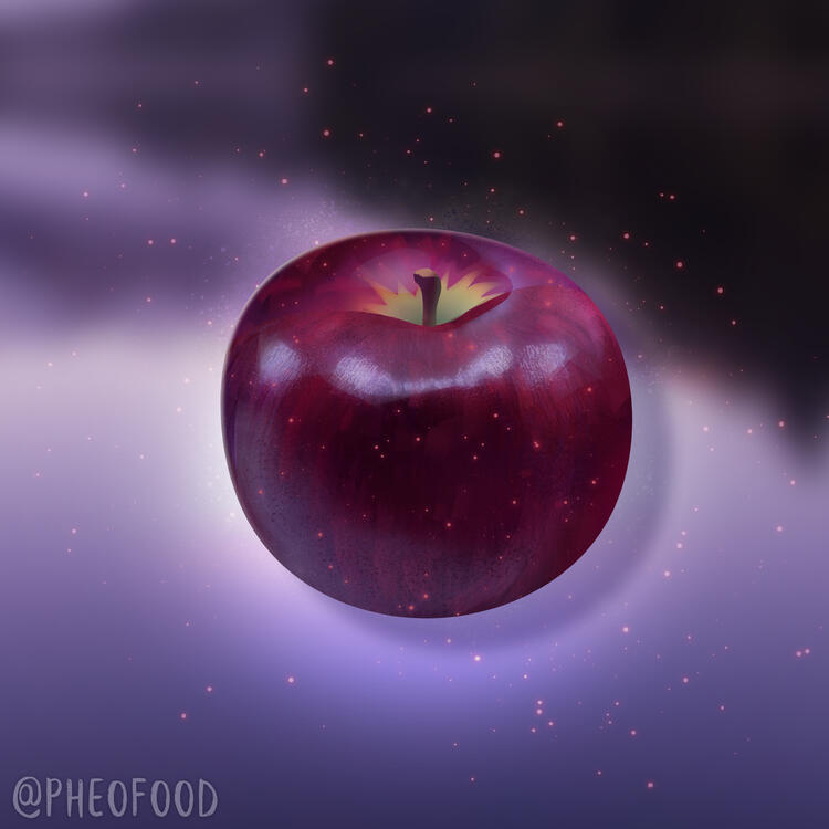 Arkansas Black Apple Arkansas Black Apple